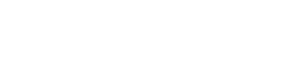 Leon Casino Logo